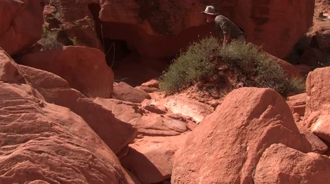 Finding a treasure Video stock 50704252