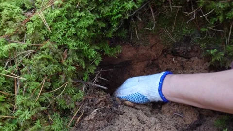 Finding Unshot WW2 Rifle Bullets in Blindage Stock Footage 292284848