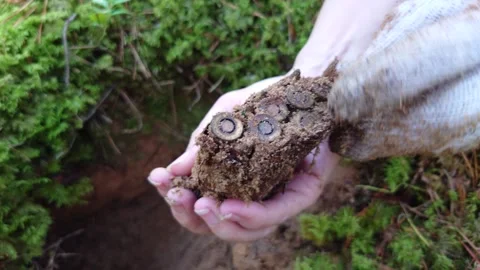 Finding Unshot WW2 Rifle Bullets in WW2 Blindage 2 Stock Footage 292284855