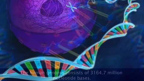 Findings of the human genome project 動画素材 319950356