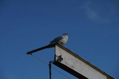 A fine balancing act Stock Photos