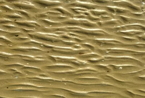Fine beach sand texture in summer sun. Background for your design Stock Photos