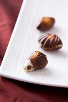 Fine chocolates Stock Photos
