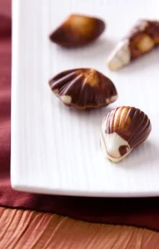 Fine chocolates Stock Photos