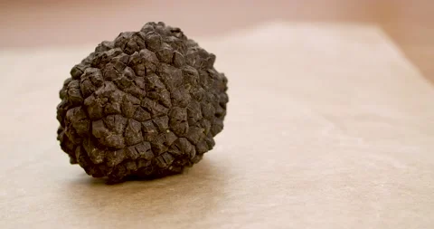 Fine Dining Cooking and Black Truffle Stock Footage 142314610