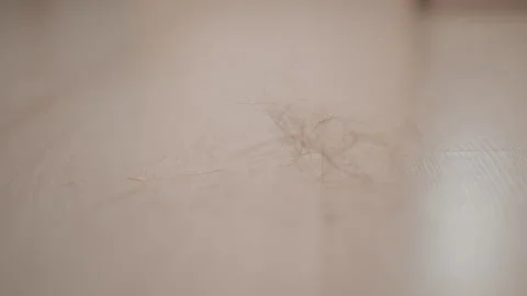 Fine dust strands settling on smooth beige surface under soft warm light with Stock Footage 347538678