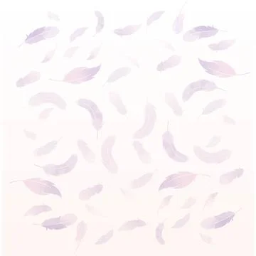 Fine Feather Stock Illustration