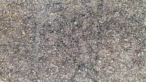 Fine-grained mottled surface. Abstract spotted background Foto stock