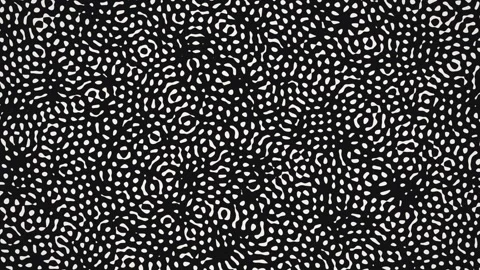 Fine ink Turing pattern morphing from spots to stripes to holes, seamless loo Stock Footage 348313968