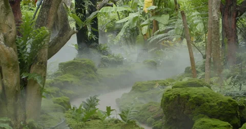 Fine mist spraying through a garden, adding moisture and enhancing. Stock Footage 320318614