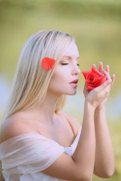 Fine perfume petals Stock Photos