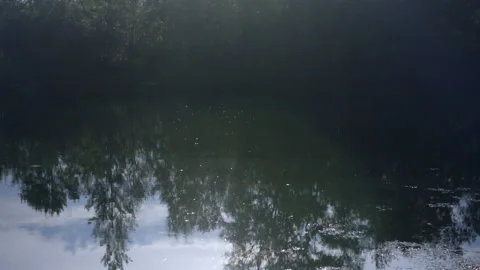 Fine rain drips on the lake Video stock 138535186