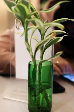 Fine restaurant dinner table setting Stock Photos