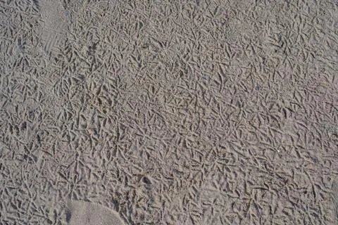 Fine sand with irregular marks forming a natural textured surface Stock Photos