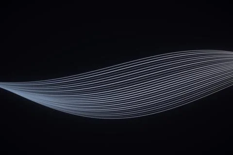 Fine silver-gray parallel curves sweep from a narrow point into a broad flo.. Иллюстрация