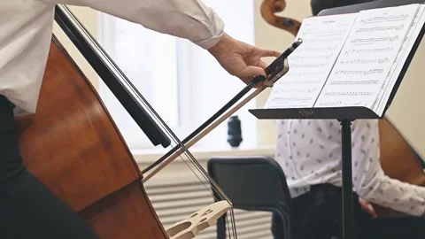 Fine strings of classical instrument highlighted in detailed close-up. Strings Stock Footage 305548552
