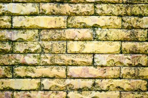 Fine texture of the wall light yellow bricks. Background. Stock Photos