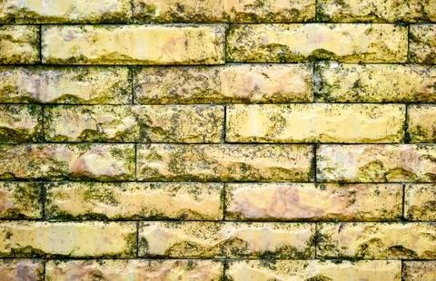 Fine texture of the wall light yellow bricks. Background. Stock Photos