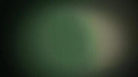 Fine vertical CRT scanlines glow with warm green light leaks 動画素材 342215088