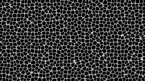 Fine Voronoi Cell Grid Texture Seamless Loop Stock Footage 343456878