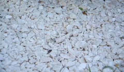 Fine white rubble on the ground Stock Photos