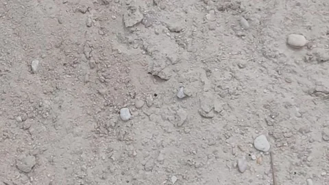 Fine White Sand Surface Macro Shot Stock Footage 329199061