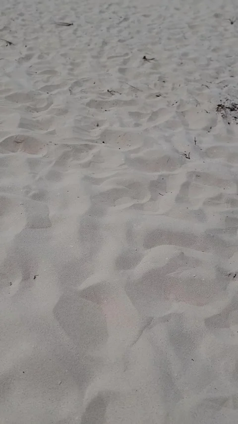 Fine White Sand Texture with Soft Ripples at Bahia de las Aguilas Stock Footage 330911248