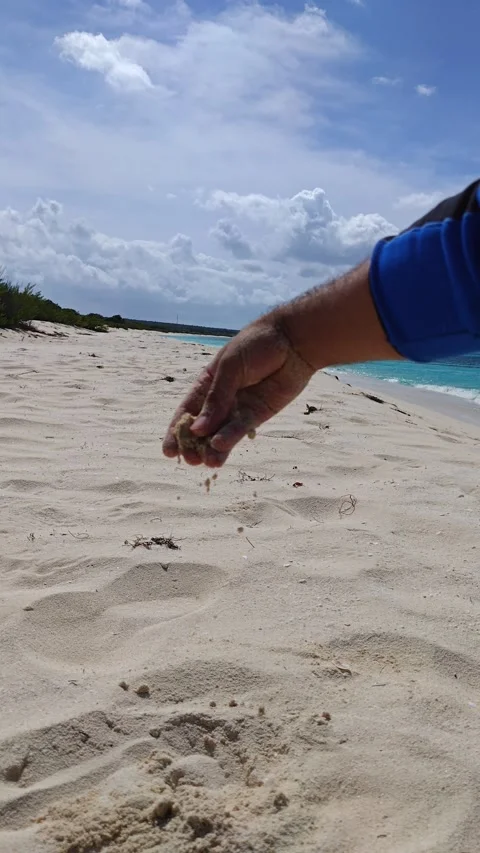 Fine White Sand Texture with Soft Ripples at Bahia de las Aguilas Vidéo 330974510