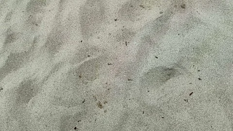 Fine white sand on a tropical beach with subtle textures and wind ripples Stock Footage 336841208