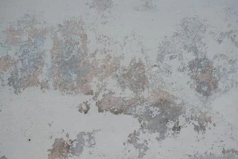 A finely cemented wall, smooth cemented walls wall texture and background 写真素材