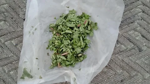 Finely Chopped Spinach Leaves Arranged in a Clear Container Stock Footage 346983422