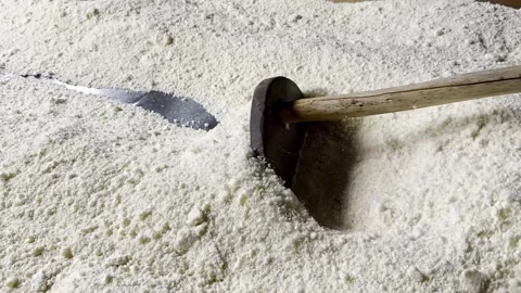 Finely ground root for a local treat, turning a crop into food to eat Stock Footage 339152137