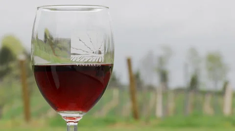 Finest Wines (3 of 6) Stock Footage 35344770