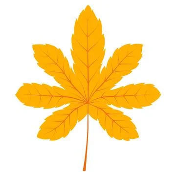 Finger leaves orange Stock Illustration