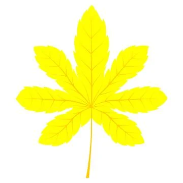 Finger leaves yellow Stock Illustration