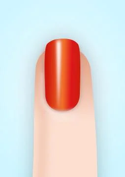 Finger Nail Stock Illustration