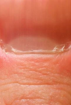 Finger nail Foto stock