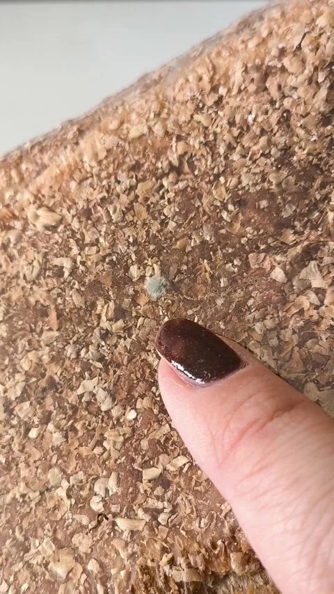 A finger points to mold on the bread in the package. Growth of bacteria, fungus 库存影片 330040156