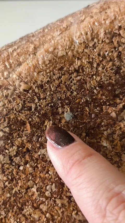 A finger points to mold on the bread in the package. Growth of bacteria, fungus 库存影片 330040164