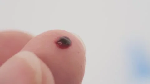 Finger prick for blood self-testing, Blood self-test procedure, showing fin.. Stock Footage 330123825