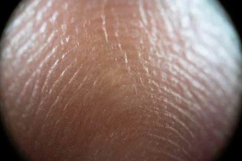 Finger Print Close up Stock Photos