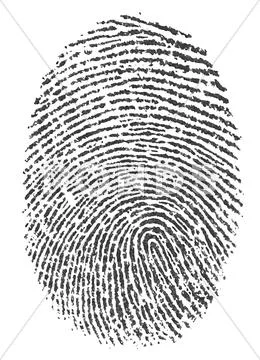 Finger print on white background Stock Illustration