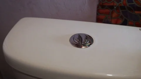 Finger pushing button and flushing toilet Stock Footage 107539859