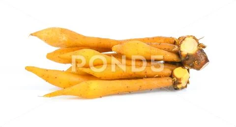 Finger root (Krachai) Thai herb isolated on white background Stock ...