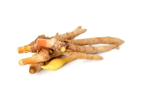 Finger root or Chinese's Ginger isolated on the white background. Foto stock