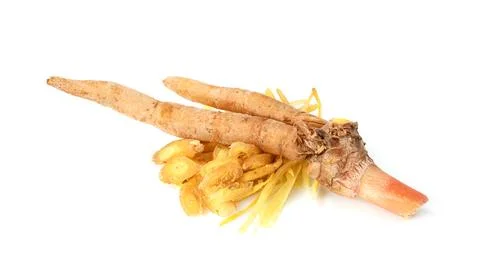 Finger root or Chinese's Ginger isolated on the white background. Stock Photos