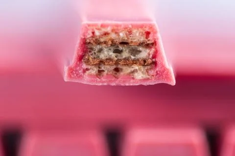 Finger Ruby Chocolate Bar made from ruby cocoa bean. New dimension of chocola Stock Photos