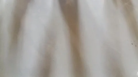 Finger shadows on the floor 库存影片 321999461