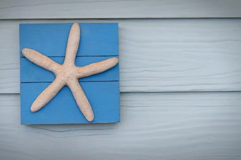 Finger starfish Stock Illustration