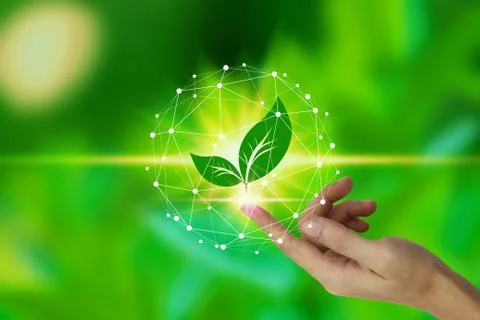 Finger touch with leaf icon over the Network connection on nature background, Stock Photos